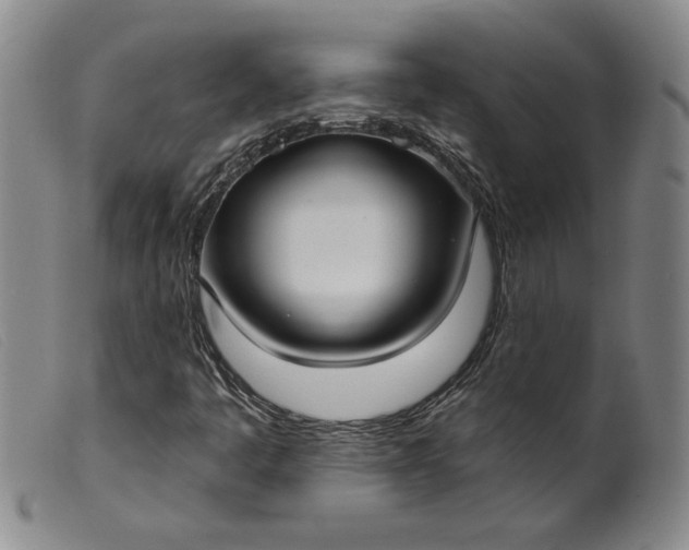 X0000099441445200805231706