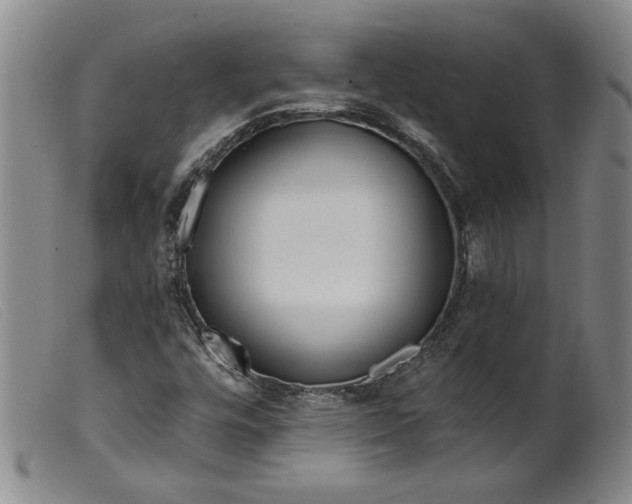 X0000099441448200805231706