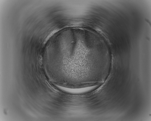 X0000099441449200805231706