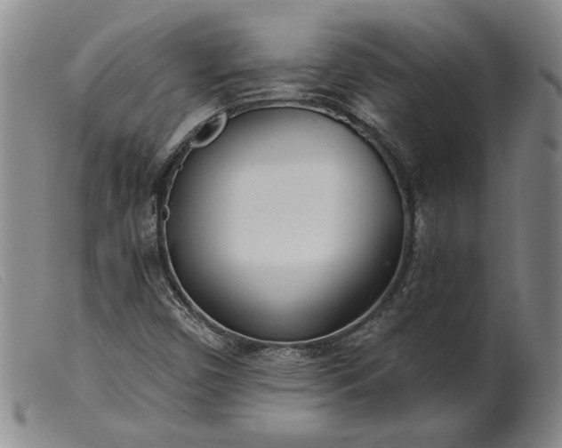 X0000099441450200805231706