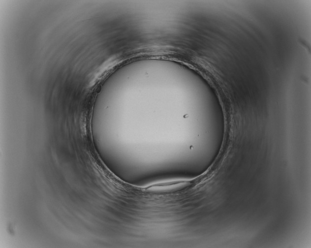 X0000099441451200805231706