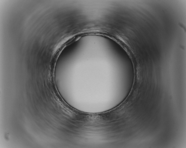X0000099441452200805231706