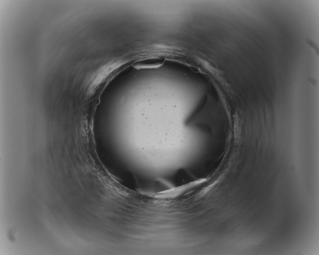 X0000099441453200805231706