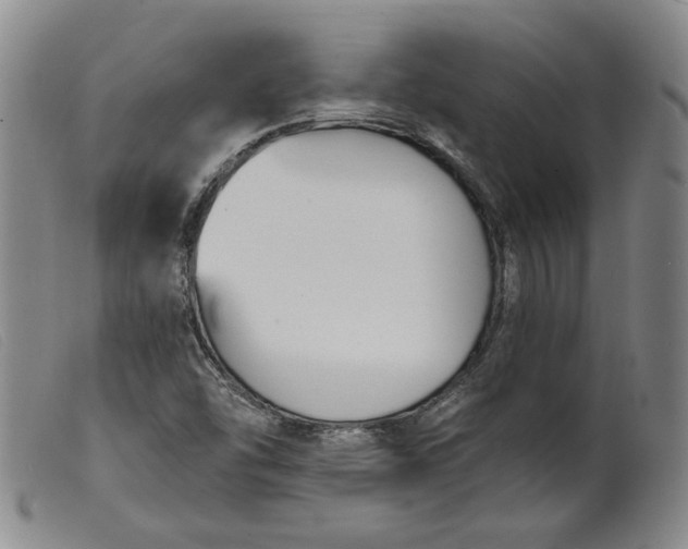 X0000099441454200805231705