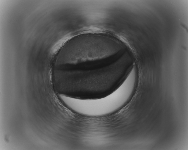 X0000099441455200805231705