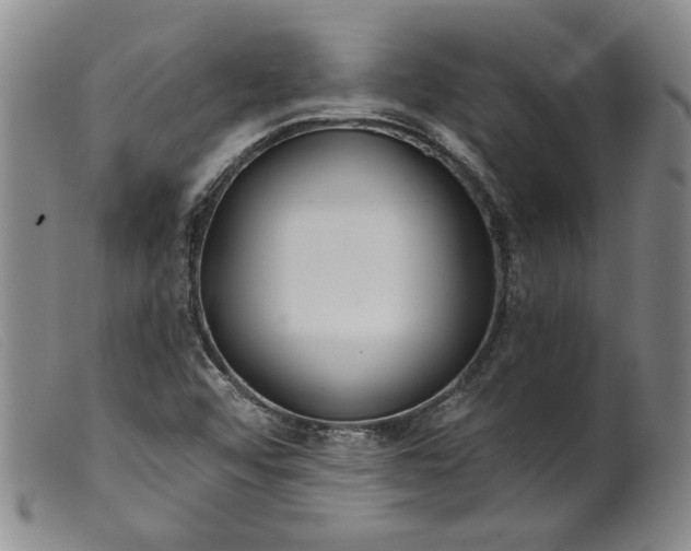 X0000099441456200805231705