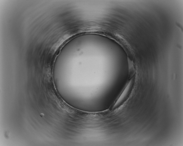 X0000099441457200805231705