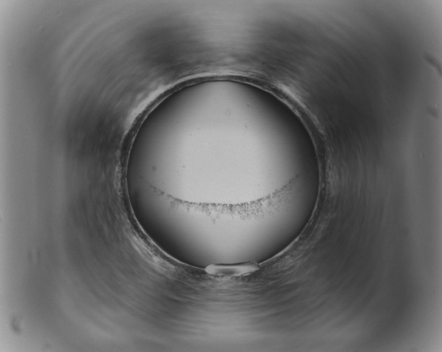 X0000099441460200805231705