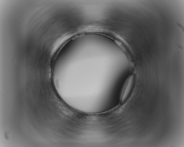 X0000099441461200805231705