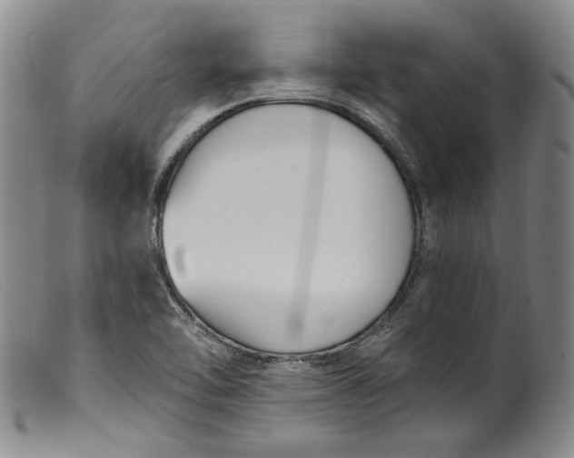 X0000099441462200805231705