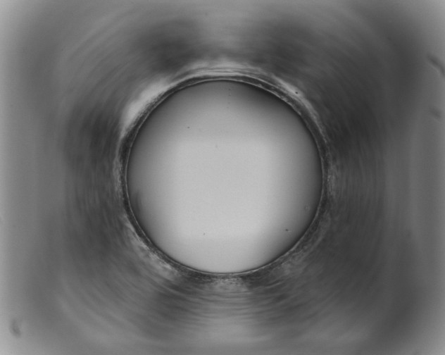 X0000099441464200805231705