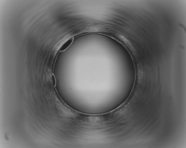 X0000099441465200805231705