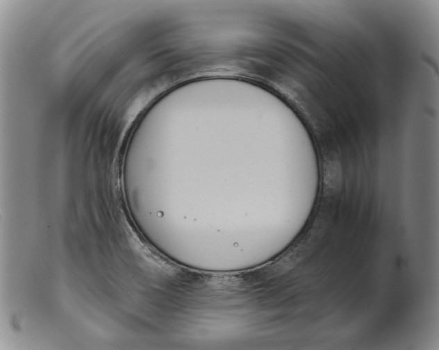 X0000099441466200805231705