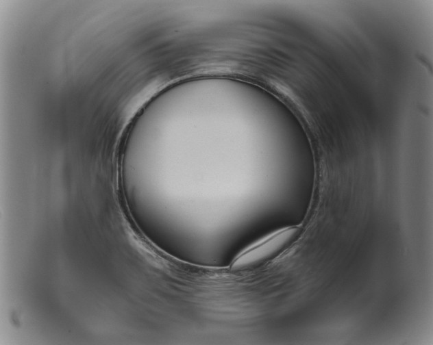 X0000099441467200805231705
