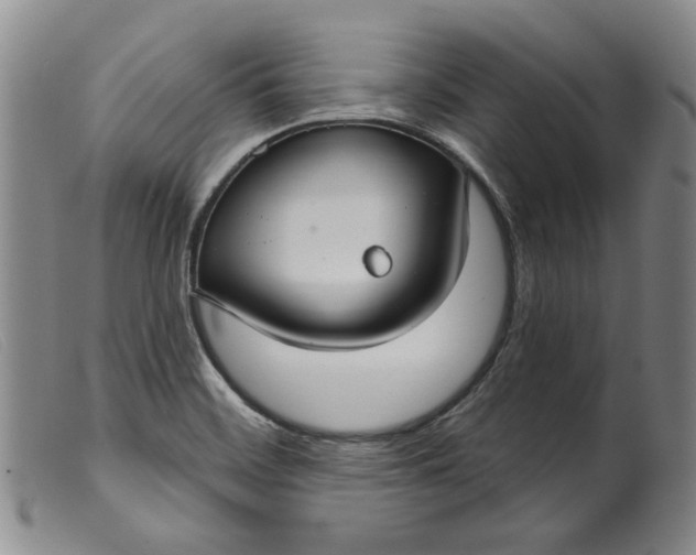 X0000099441468200805231705