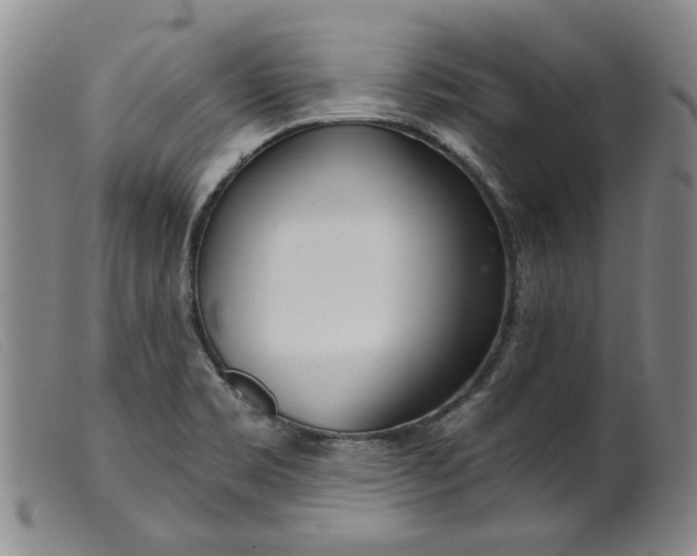 X0000099441469200805231705