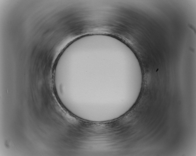 X0000099441470200805231705