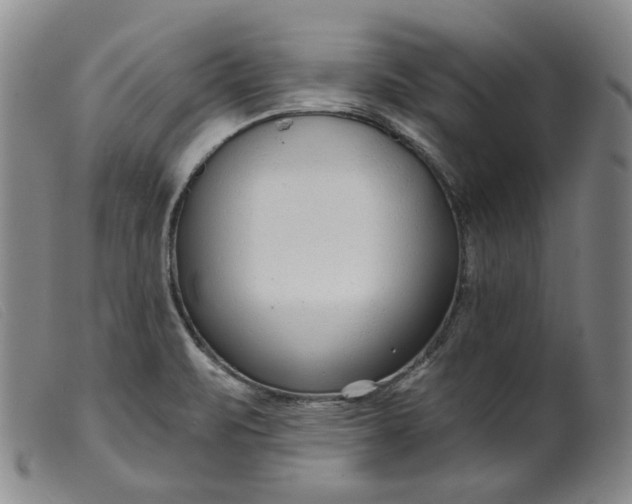 X0000099441471200805231705