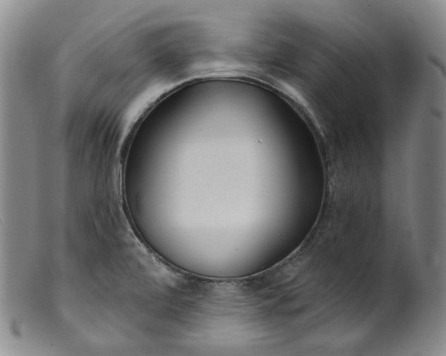 X0000099441472200805231705