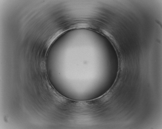 X0000099441473200805231705