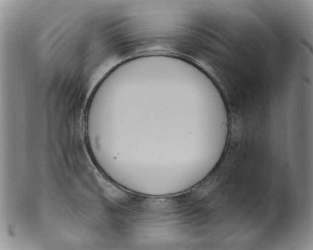 X0000099441474200805231705