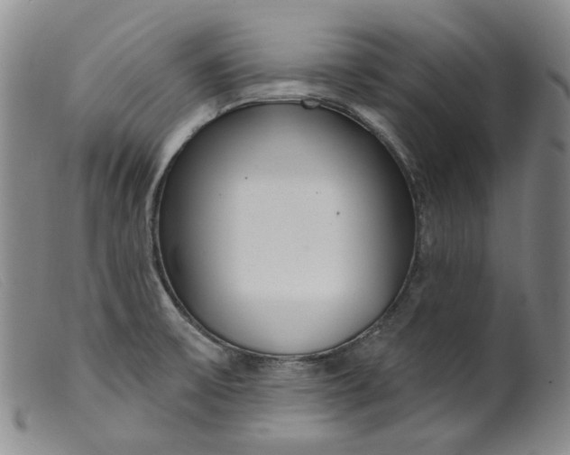 X0000099441475200805231705