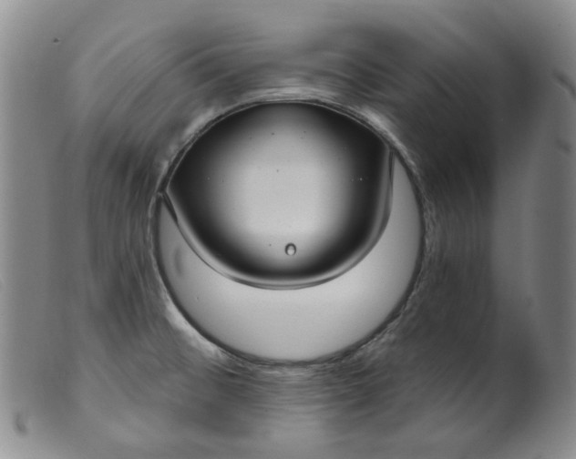 X0000099441476200805231705