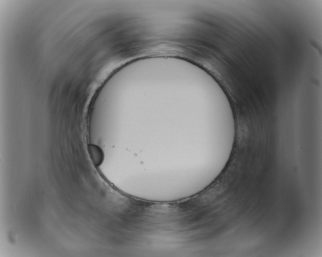 X0000099441478200805231705
