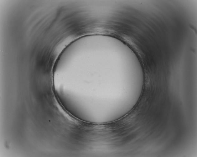 X0000099441479200805231705
