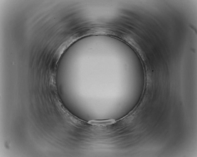 X0000099441481200805231705