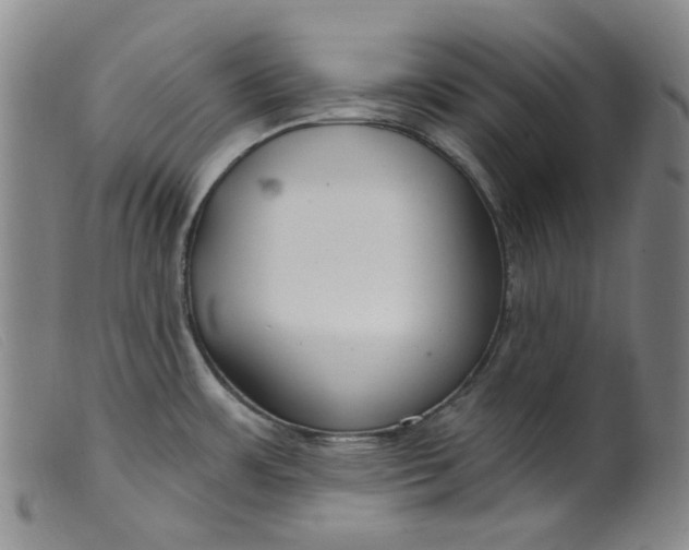 X0000099441483200805231705