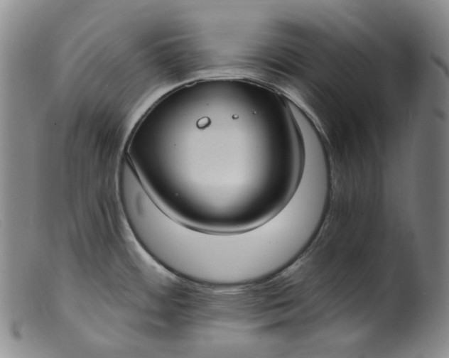 X0000099441484200805231705