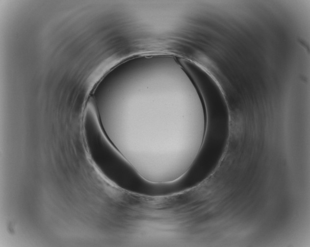 X0000099441485200805231705