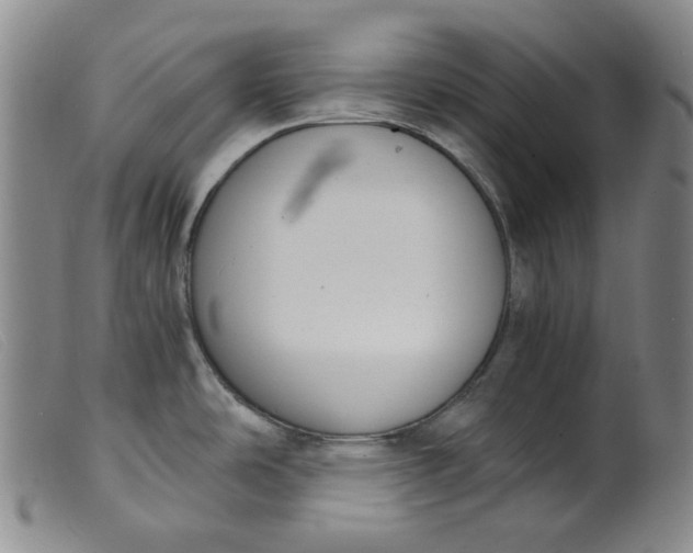 X0000099441486200805231705