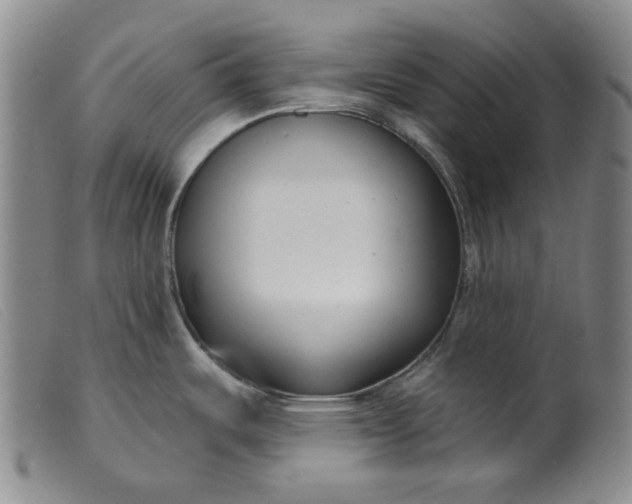 X0000099441487200805231705