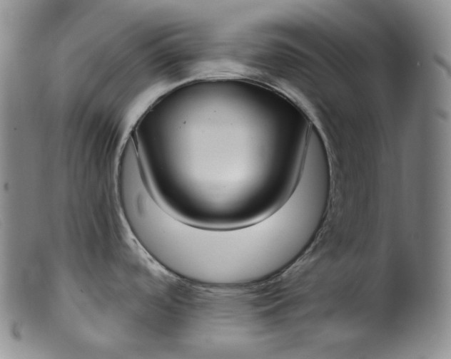 X0000099441488200805231705
