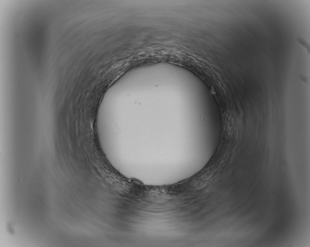 X0000099441489200805231704