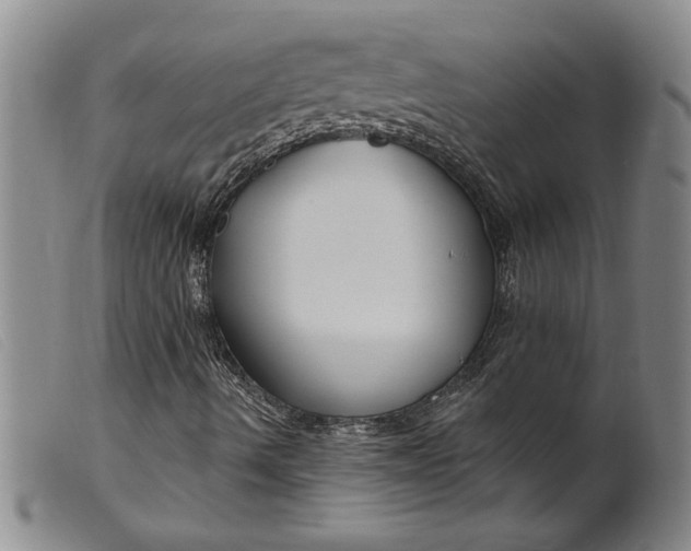 X0000099441490200805231704
