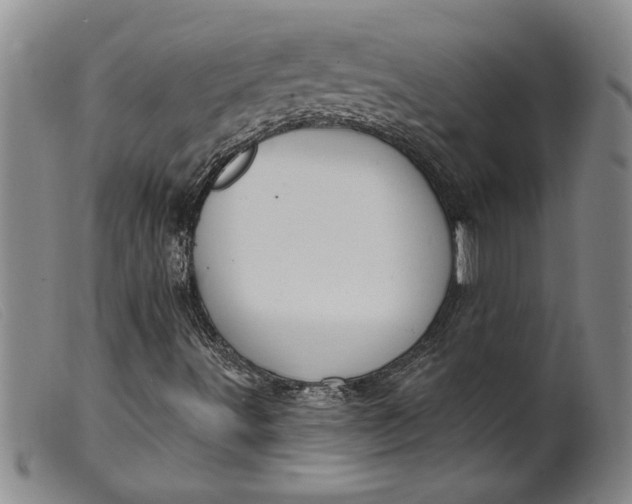 X0000099441491200805231704