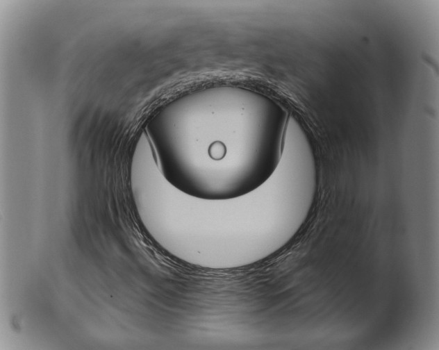 X0000099441492200805231704