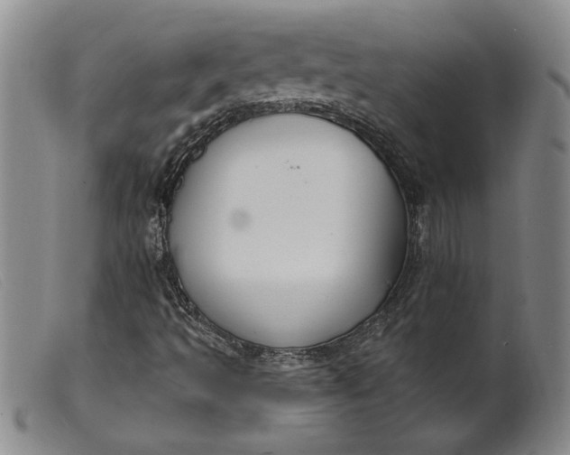 X0000099441493200805231704