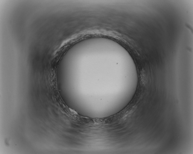 X0000099441494200805231704