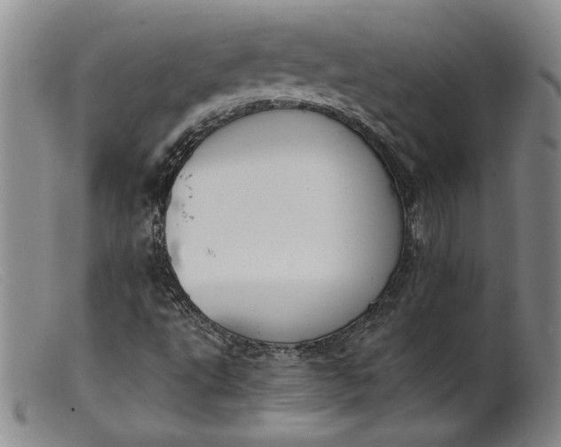 X0000099441495200805231704