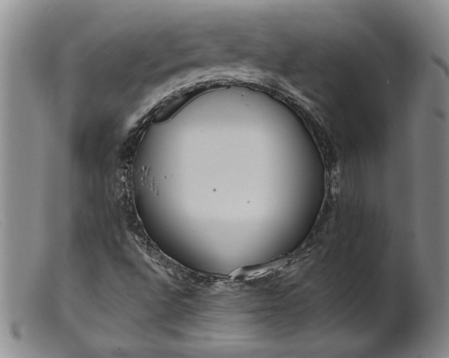 X0000099441496200805231704