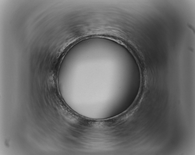 X0000099441497200805231704