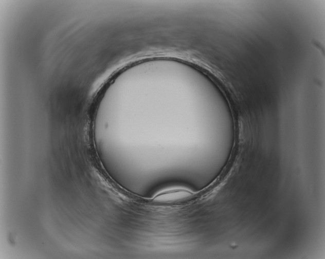 X0000099441502200805231705