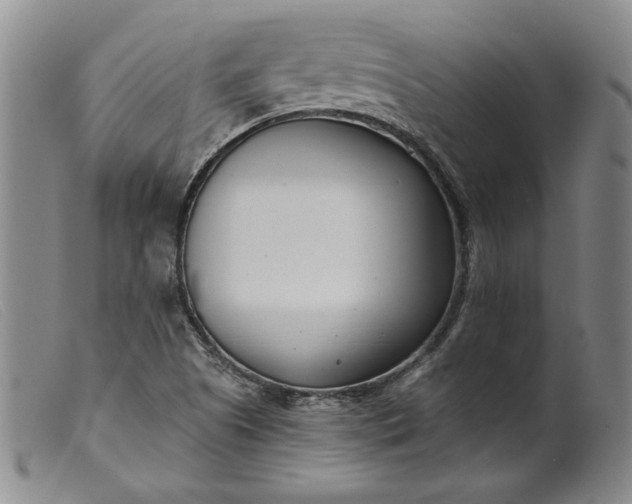 X0000099441505200805231705
