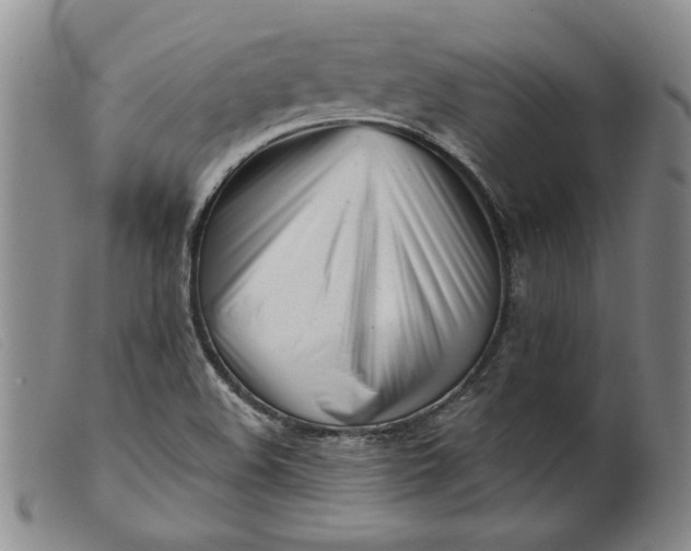 X0000099441508200805231705