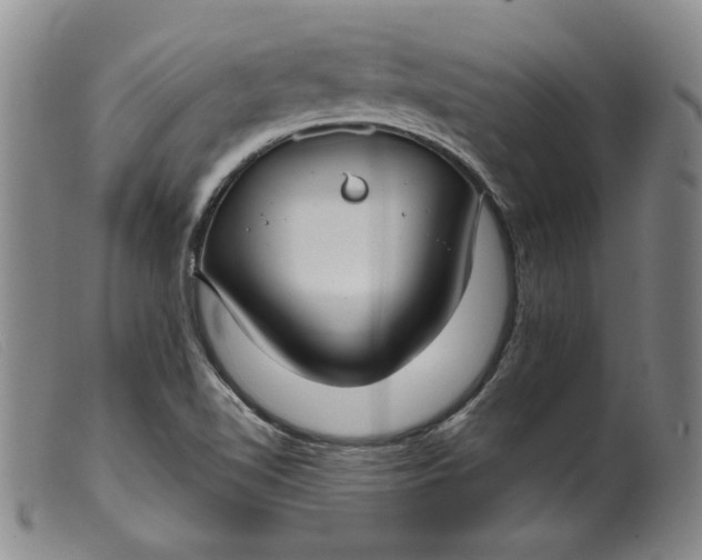 X0000099441510200805231705