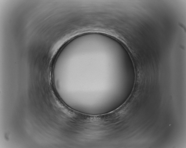 X0000099441511200805231705